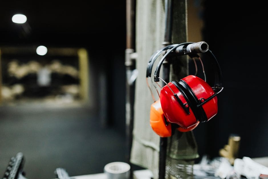 Alpine Hearing Protection Earplugs